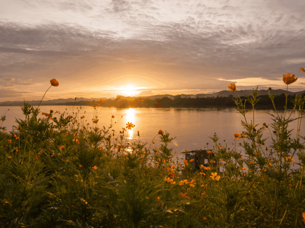 fotografía de paisajes naturales