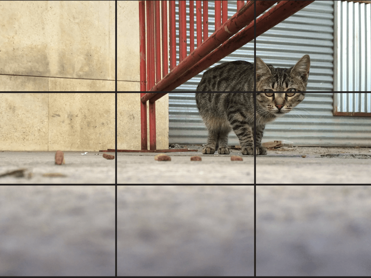 regla de los tercios fotografía