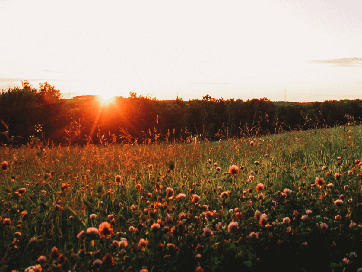 fotografía de paisajes naturales