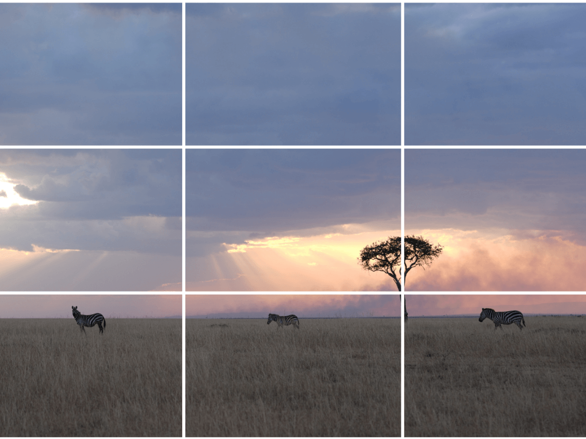 regla de los tercios fotografía