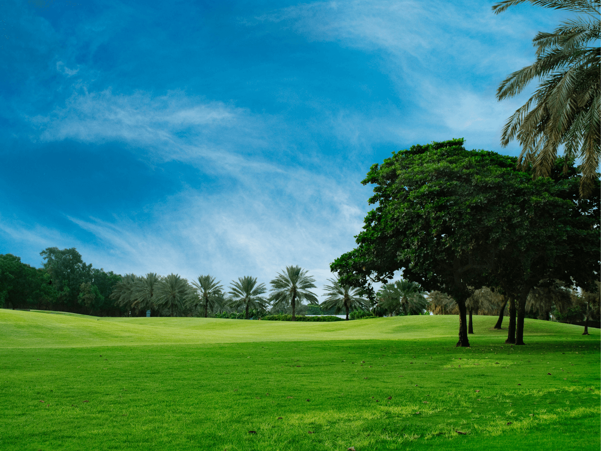 fotografía de paisajes