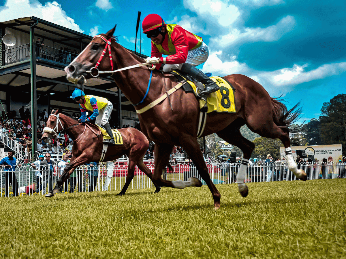 fotografía en movimiento