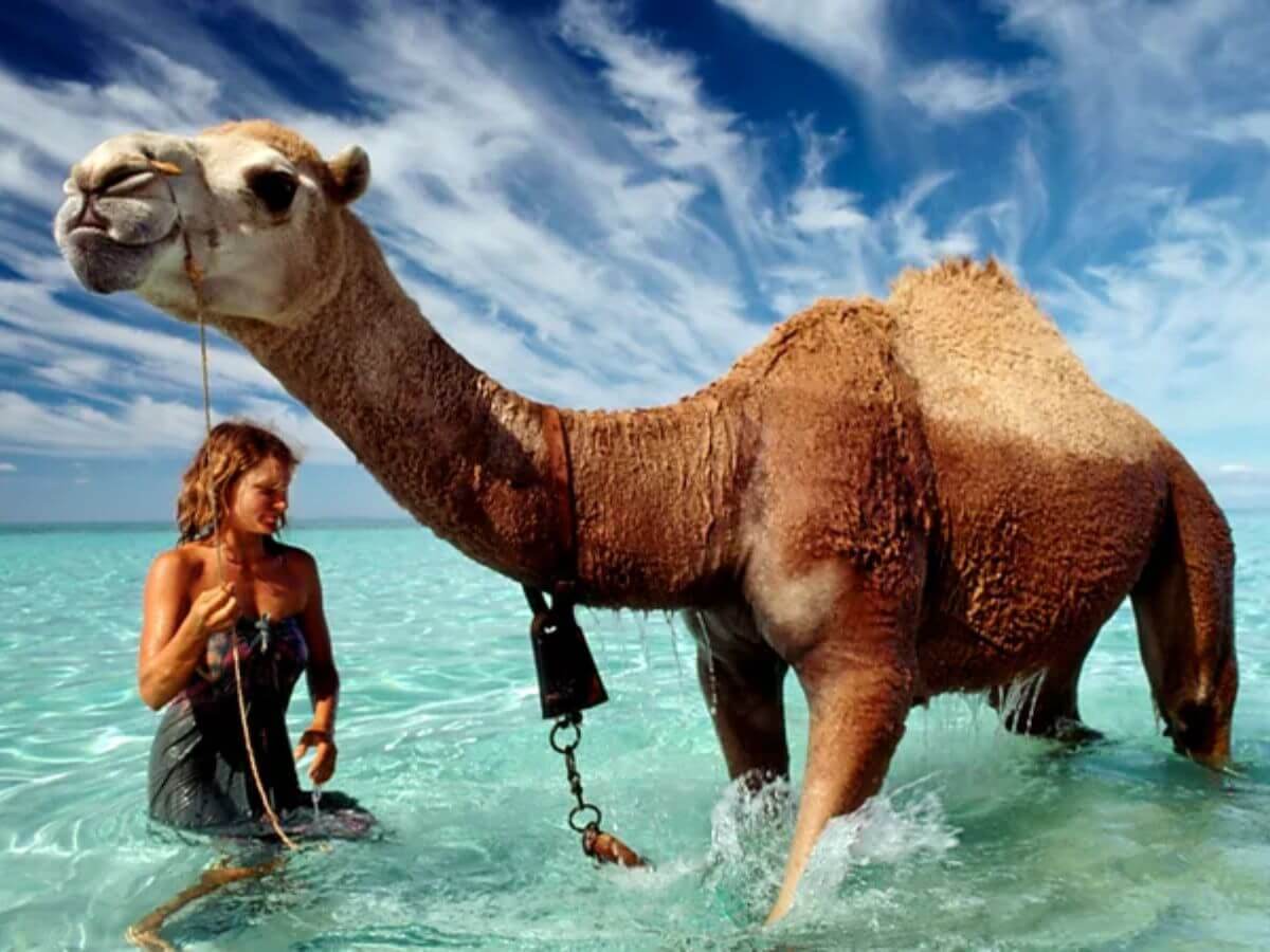 fotos Rick Smolan expediciones