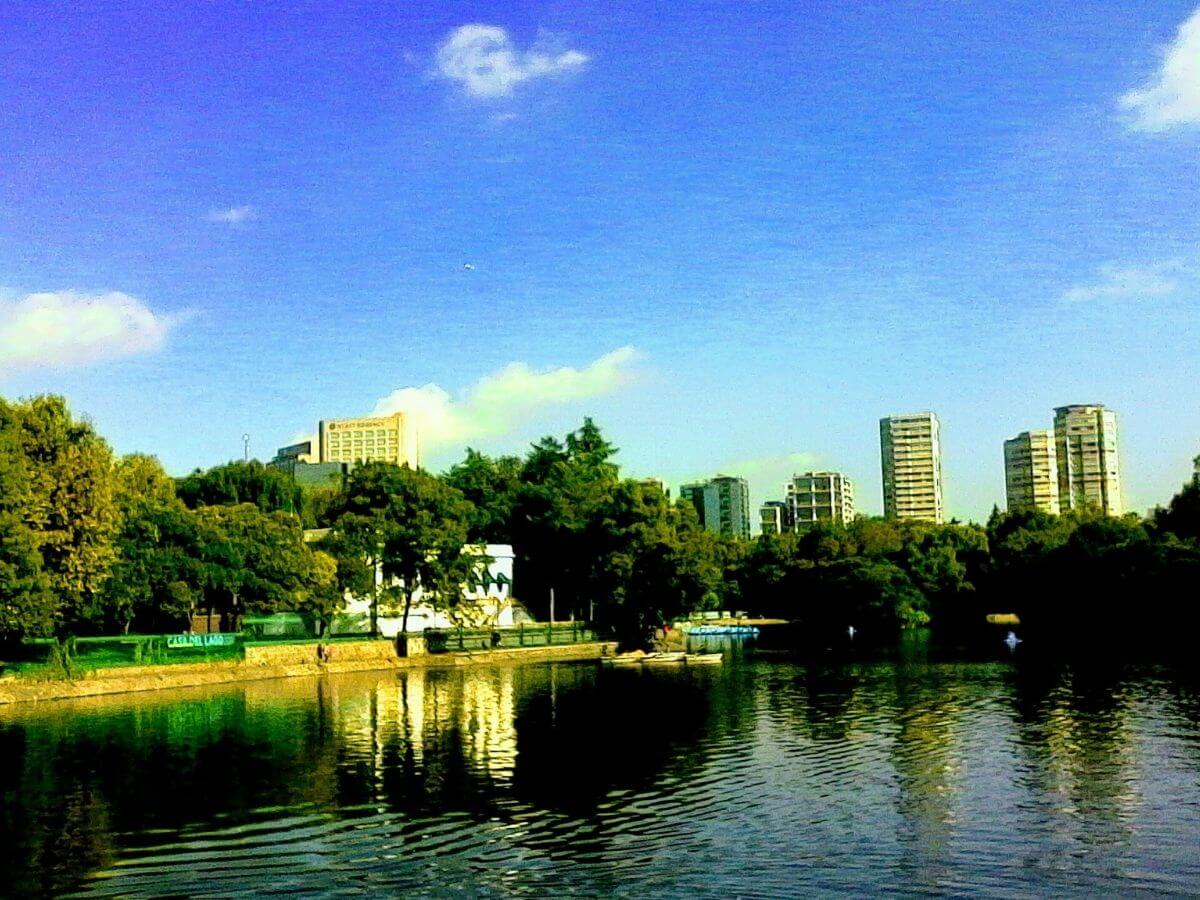 actividades familiares CDMX