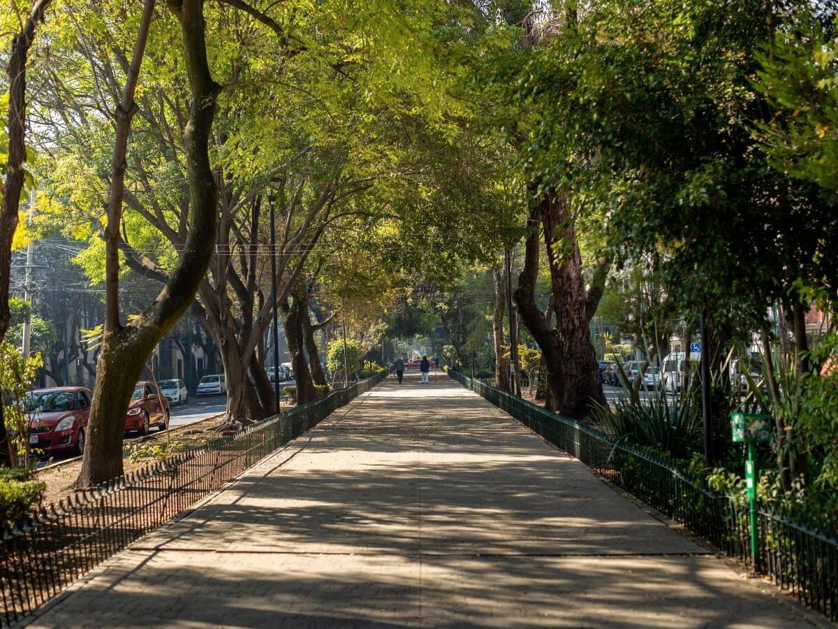 actividades familiares CDMX