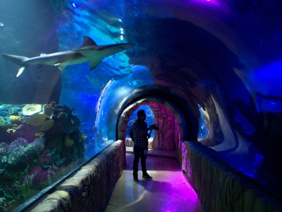 actividades familiares en CDMX