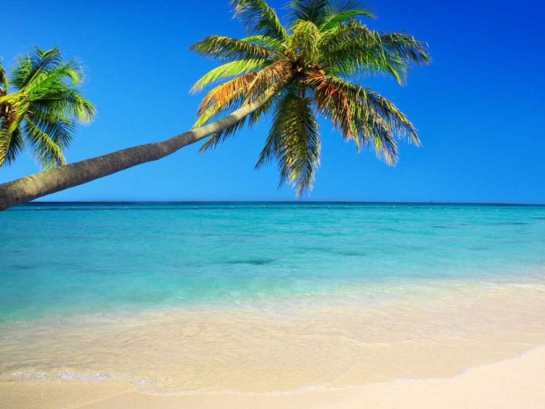 fotografía tropical