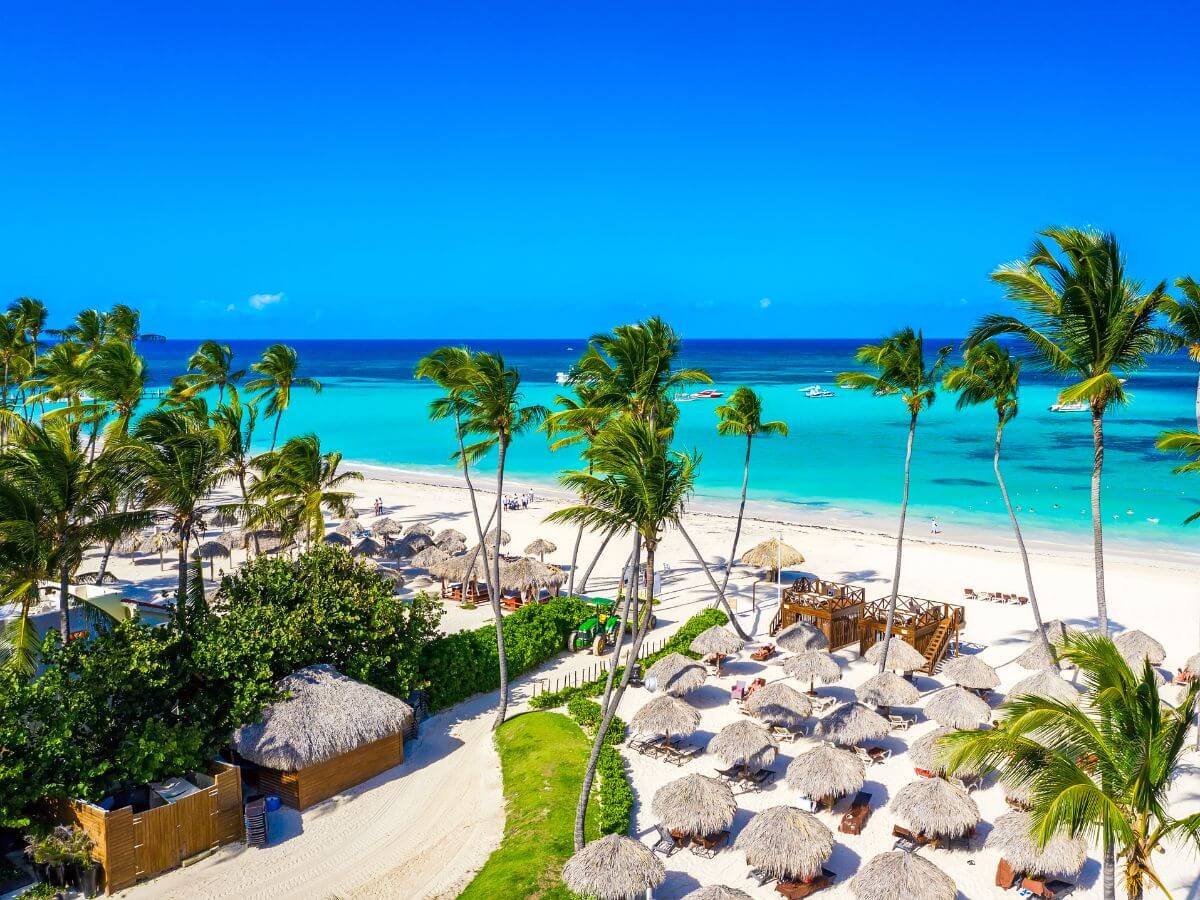 fotografía tropical