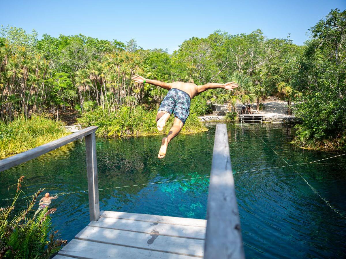 fotografía tropical