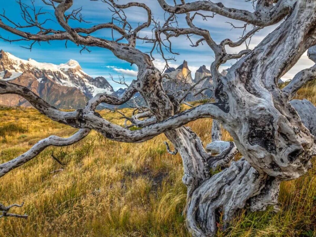 fotos Art Wolfe naturaleza fotos Art Wolfe naturaleza