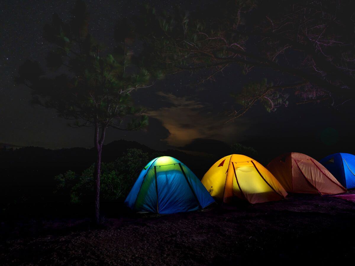 fotos de familia en el campo